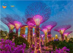 Tour Du Lịch Malaysia - Singapore Hàng Không VietNam Airlines 2025